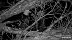 Zrzut-ekranu-60764