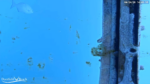 Screenshot-15565