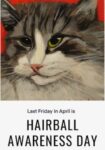 Hairball-Awareness-April
