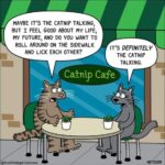 catnip-cafe