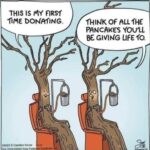 tree-sap