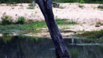 Zrzut-ekranu-60959