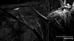 Zrzut-ekranu-61018