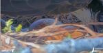 Screenshot_5
