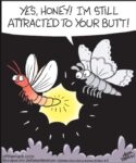 Off-the-Mark-firefly