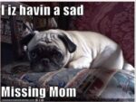 Mother-Sad