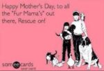 MothersDay-FurKids