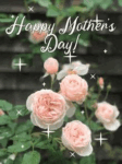 mothers-day-flower