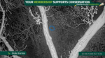 Screenshot-2712