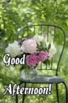 afternoon-d