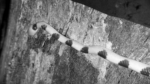 Zrzut-ekranu-61302