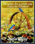 saturday