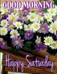Saturday-2