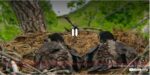 Screenshot_6
