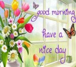 g-morning-nice-day-a
