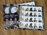 005