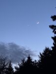 IMG_0259
