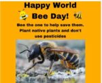 bee-day
