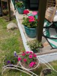 pots-plants