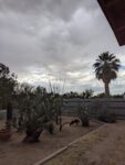 PXL_20260525_002758093