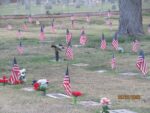 705388345_27991801790421670_8899115887480013852_n