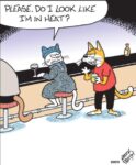 Off-the-Mark-heat