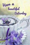 Saturday-a