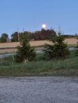 IMG_0379