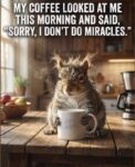 Coffee-miracle
