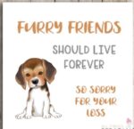 Dog-Loss