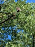 IMG_20260618_171821