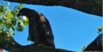 Screenshot_3