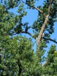 IMG_20260619_101416