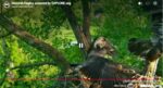 Screenshot_11