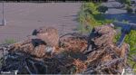 Screenshot_3