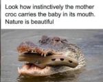 mom-and-baby-CROC