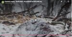 Screenshot_10