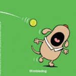 Learn-to-Speak-Cat-7-1-wimbledon