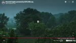 Screenshot_4