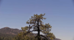 Screenshot-23970