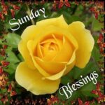 3-Sunday