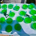 Reflecting-Pool-Jello-Shots