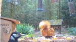 Screenshot-2026-07-06-100729