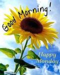 Monday-aa