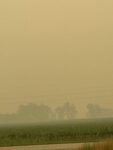 IMG_0668