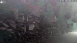 Screenshot-24669
