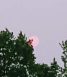 IMG_20260715_1928318552
