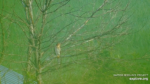 Zrzut-ekranu-62367
