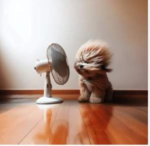 fan-dog
