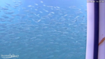 Screenshot-25185